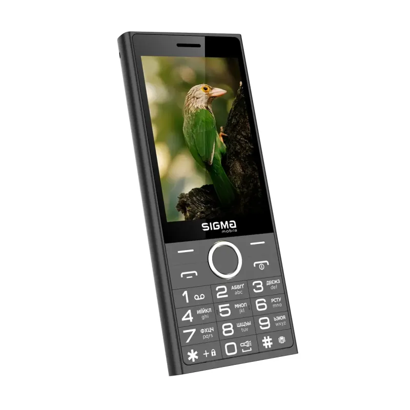 Мобильный телефон Sigma mobile X-Style 353 Trend Dual Sim Black (4827798626214)
