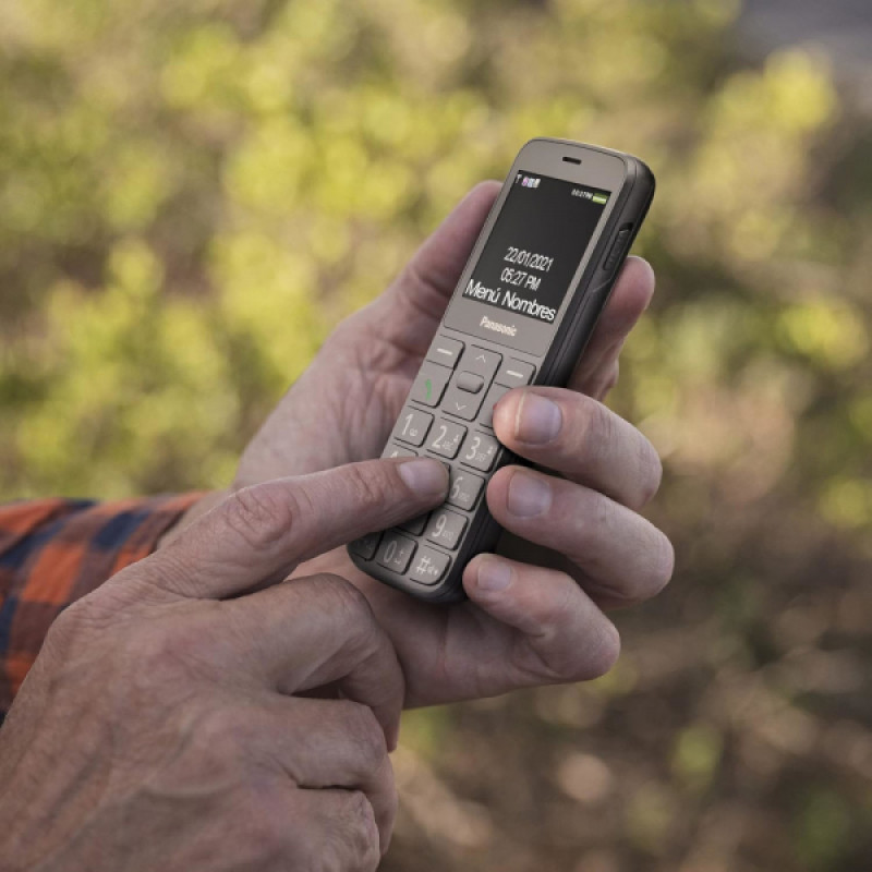 Мобільний телефон Panasonic KX-TU160EXG