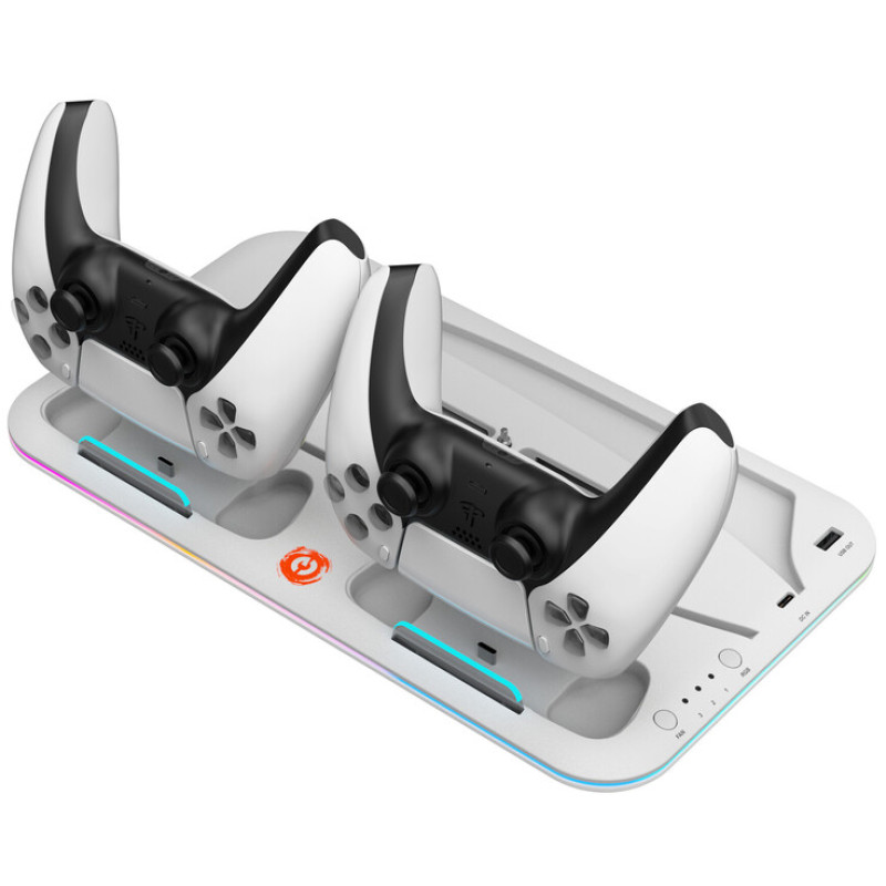 Аксессуар для игровой приставки Canyon CS-5 for PS5 White (CND-CSPS5W)