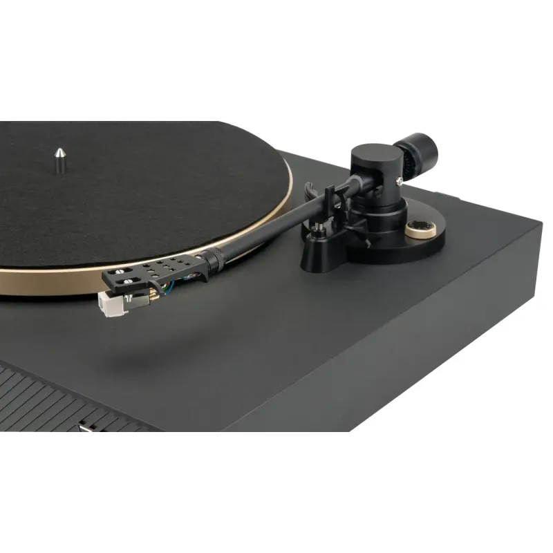JBL Spinner BT Black/Gold (JBLSPINNERBTGLDEU)