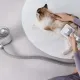 MOVA Набір для грумінгу Pet Grooming G1Pro (CH2)