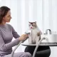MOVA Набір для грумінгу Pet Grooming G1Pro (CH2)