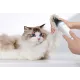 MOVA Набір для грумінгу Pet Grooming G1Pro (CH2)