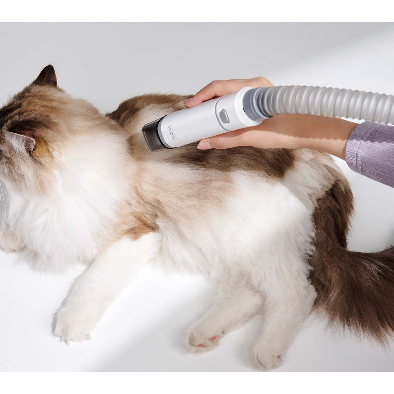 MOVA Набір для грумінгу Pet Grooming G1Pro (CH2)