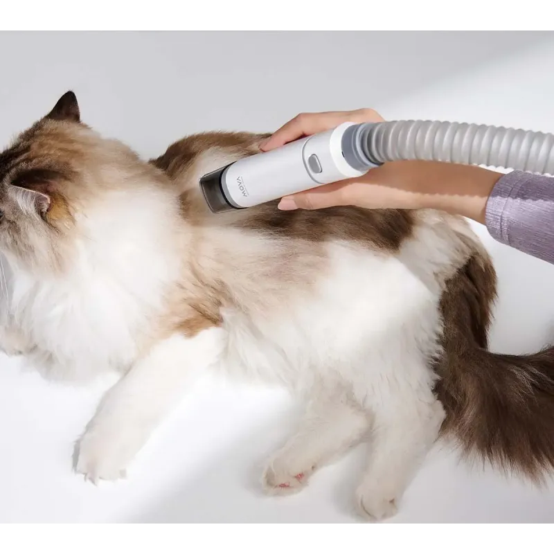 MOVA Набір для грумінгу Pet Grooming G1Pro (CH2)