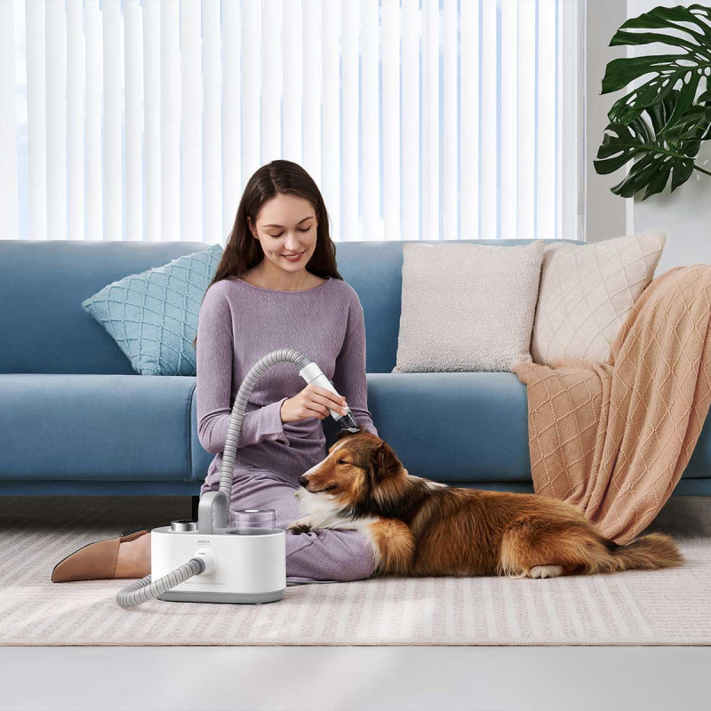 MOVA Набір для грумінгу Pet Grooming G1Pro (CH2)