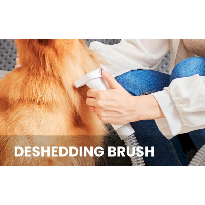 PETCHOIS Комплект для грумінгу GV1 Trimmer + Vacuum