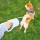 Petkit Travel Go Free Retractable Leash 3 m (P2104)