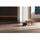 MOVA Pet Grooming WF20 Pro (PWB10A)