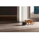 MOVA Pet Grooming WF20 Pro (PWB10A)