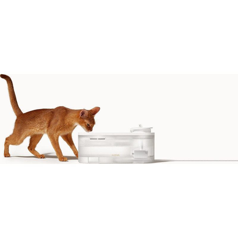 MOVA Pet Grooming WF10 Pro (PWB20A)