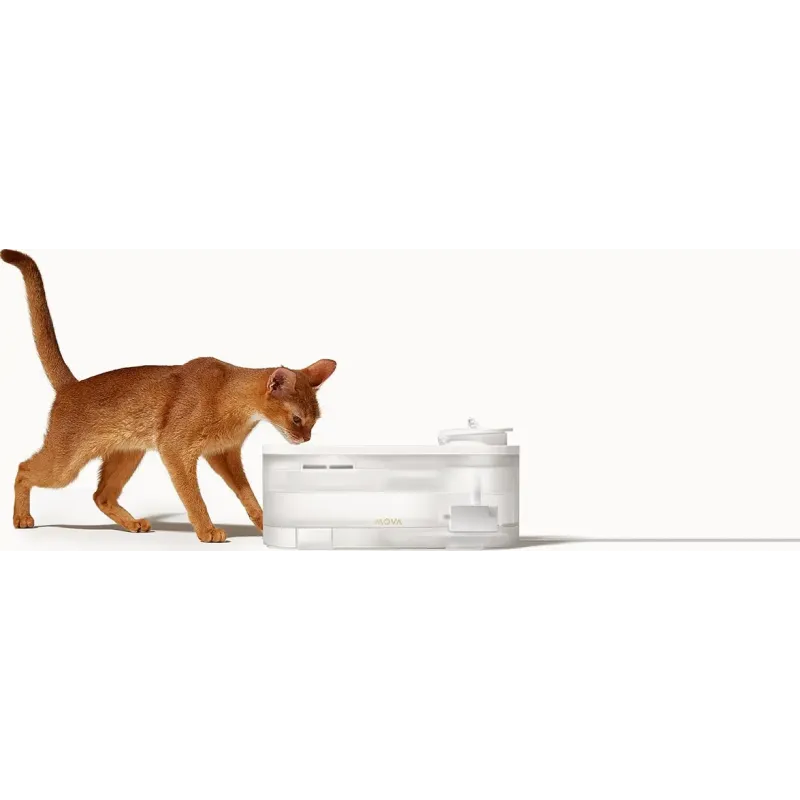 MOVA Pet Grooming WF10 Pro (PWB20A)