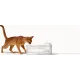 MOVA Pet Grooming WF10 Pro (PWB20A)