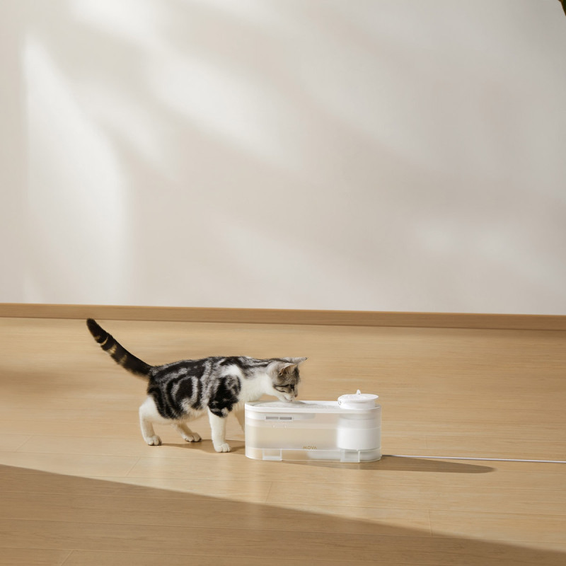 MOVA Pet Grooming WF10 Pro (PWB20A)