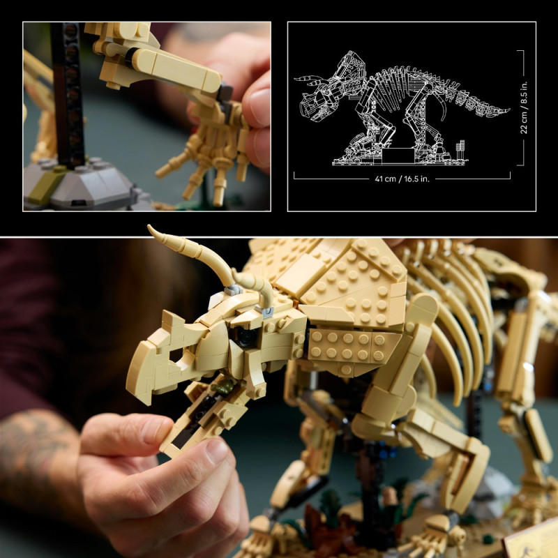 Конструктор LEGO Jurassic World Скамянілості динозаврів: трицератопс (77985)