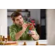 Конструктор LEGO Botanicals Сливовий цвіт (10369)