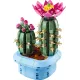 Конструктор LEGO Botanicals Цвітіння кактуса (11509)