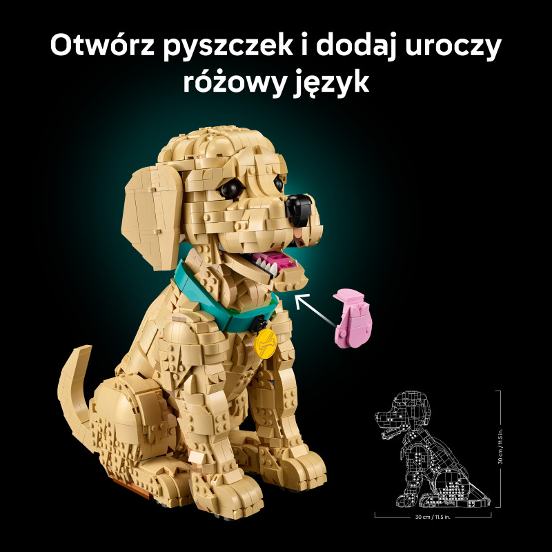 Конструктор LEGO Icons Цуценя золотистого ретрівера (11384)