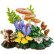 Конструктор LEGO Botanicals Лісові гриби 11505