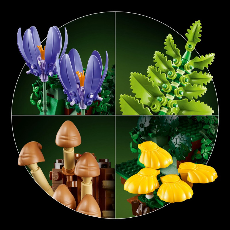 Конструктор LEGO Botanicals Лісові гриби 11505