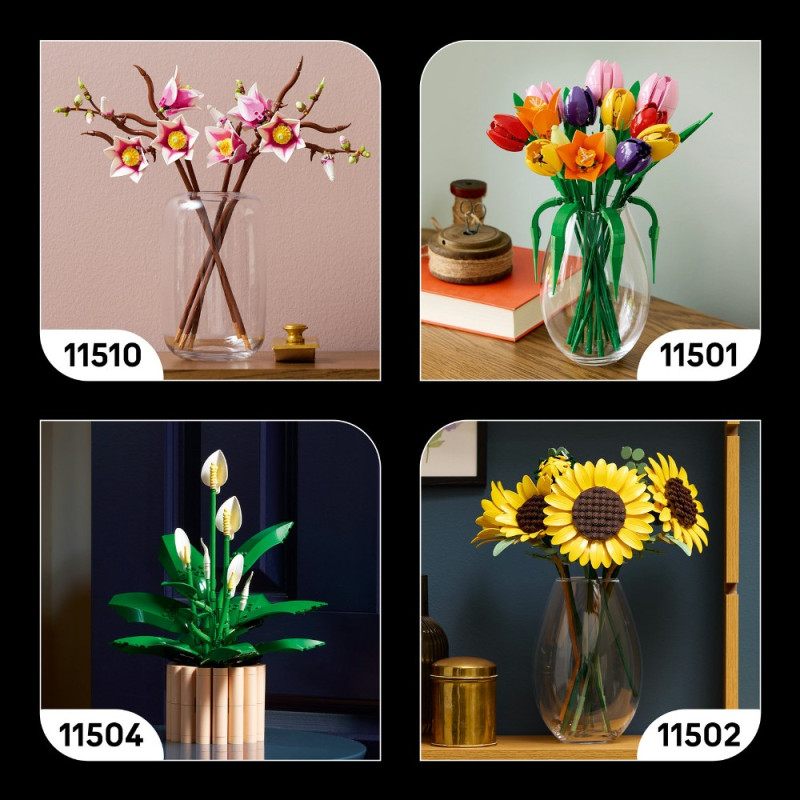 Конструктор LEGO Botanicals Лісові гриби 11505