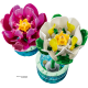 Конструктор LEGO Botanicals Лаття 11511