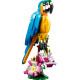 Конструктор LEGO Creator Екзотичний попугай (31136)