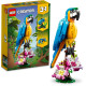 Конструктор LEGO Creator Екзотичний попугай (31136)