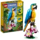 Конструктор LEGO Creator Екзотичний папуга (31136)