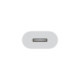 Apple USB-C to Lightning Adapter White (MUQX3)