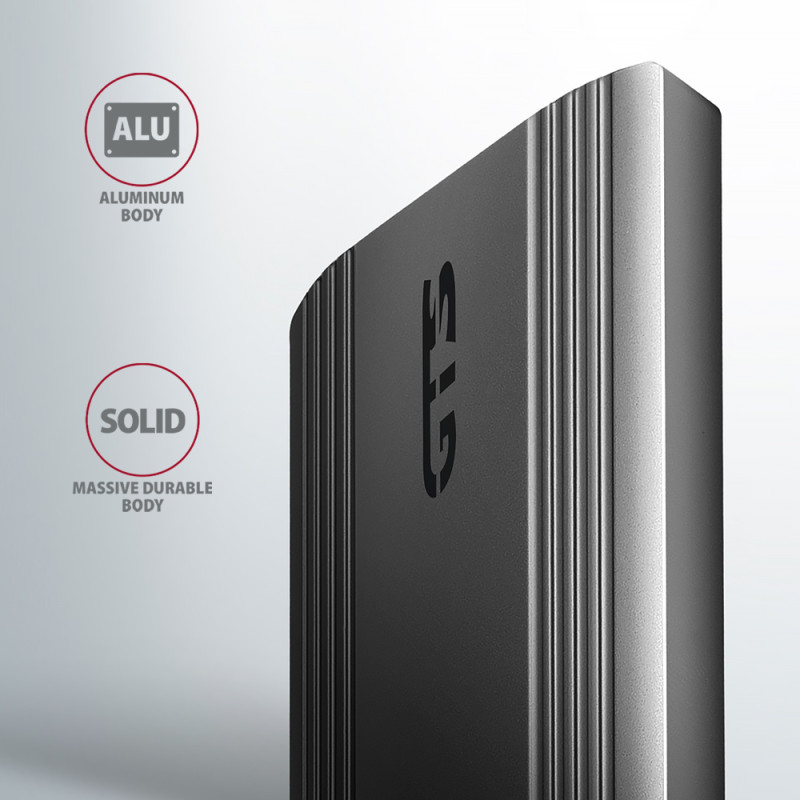 Кишеня для дисків AXAGON EEM2-GTS2