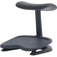 LiberNovo StepSync Footrest Graphite for Omni Gen (CP-GW-2000095-00-05)