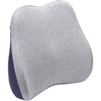 OfficePro LP570G Gray