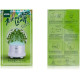 REMAX Flower Aroma Lamp RT-A700 Hydrangea (6954851284918)