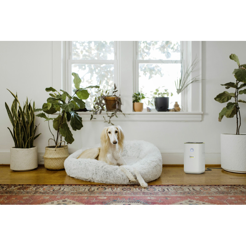 Karcher AF 20 1.024-820.0