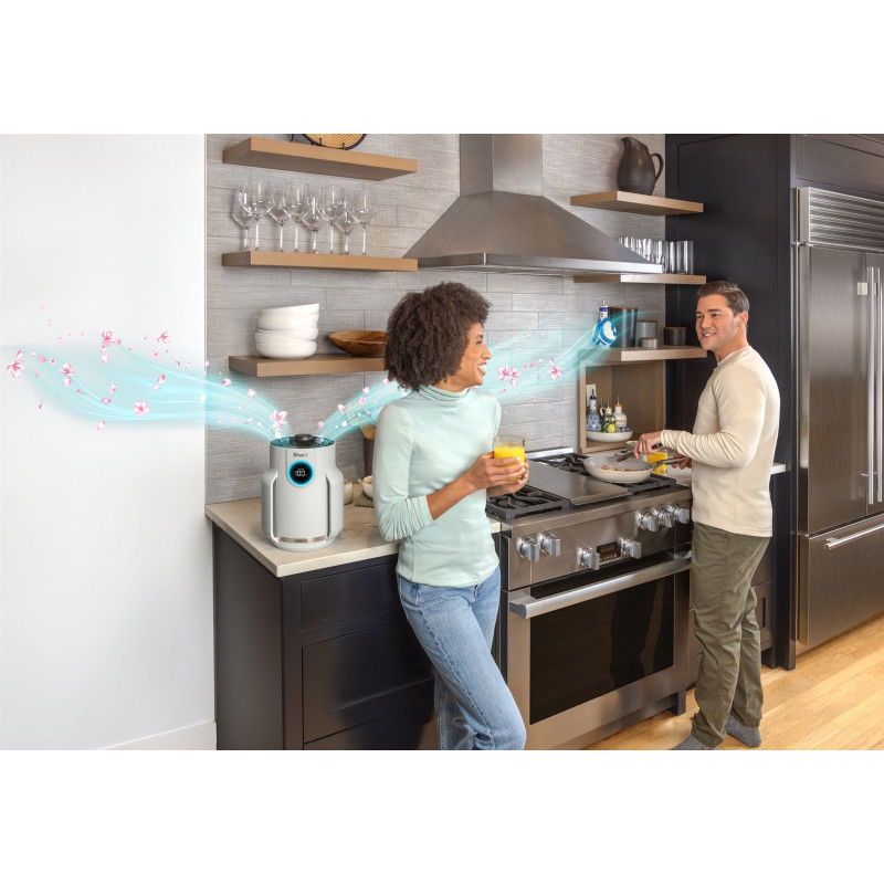 Shark NeverChange5 Air Purifier Compact Pro (HP072EU)