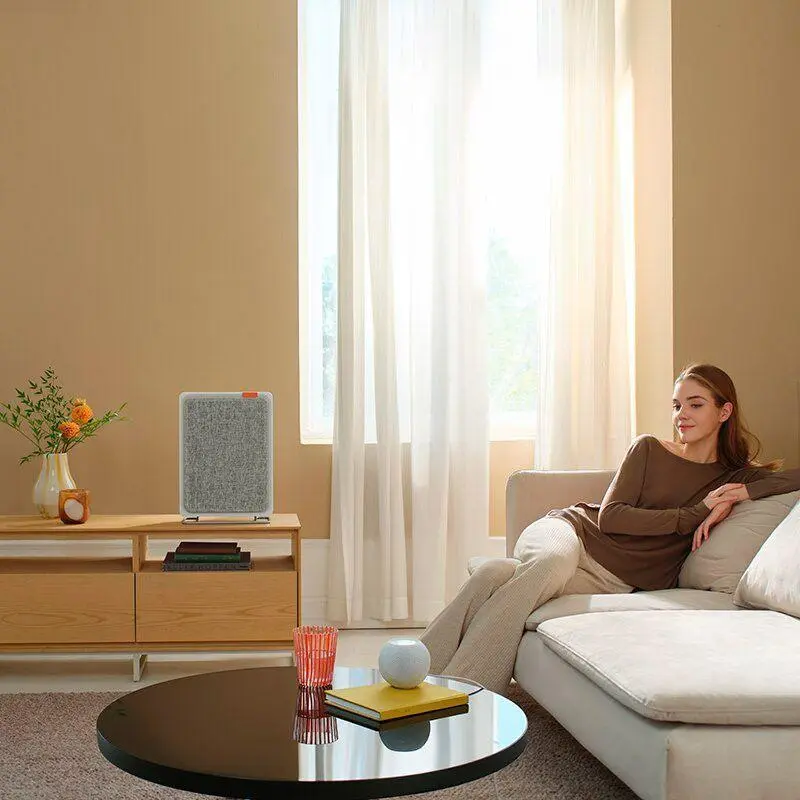 Xiaomi SmartMi Air Purifier Е1