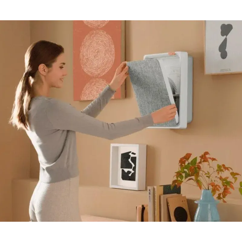 Xiaomi SmartMi Air Purifier Е1