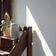 Levoit Air Purifier Core Mini Pro (HEAPAPLVNEU0141Y)