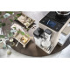 Delonghi EXAM440.55.BG S11