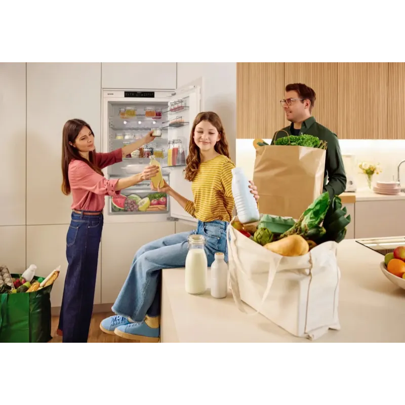 Вбудований холодильник Gorenje NRKI619D61WFE