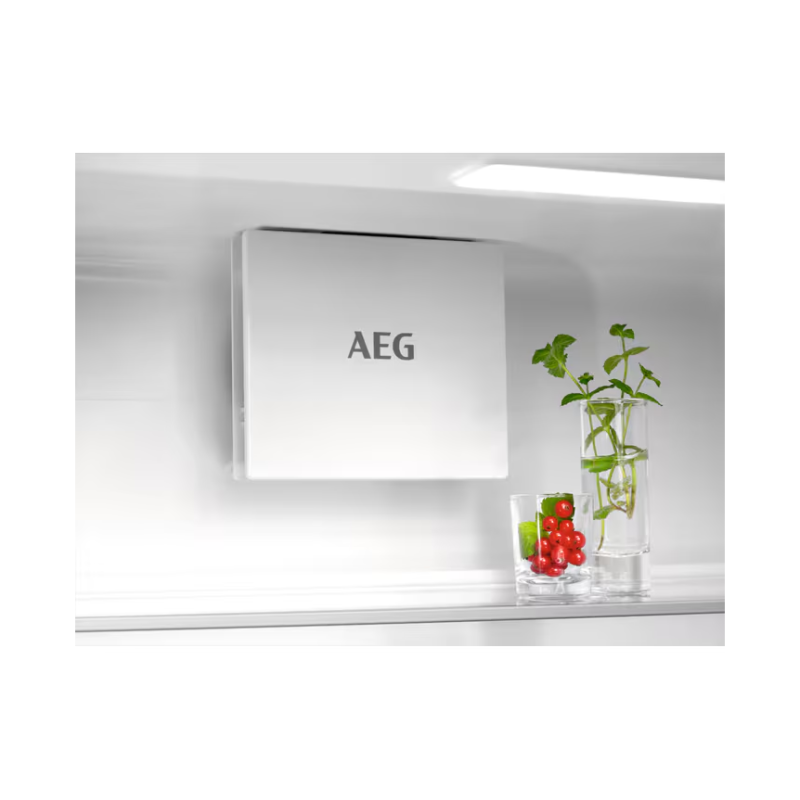 Вбудований холодильник AEG TSC7G181ES