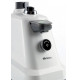 ARIETE 6248