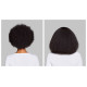 Dyson Airwrap Co-anda2x Multi Hair Styler Straight+Wavy Red Velvet/Gold (176955-01)