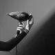 Rowenta Karl Lagerfeld CV888LF0