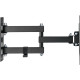 Kivi  Motion-223