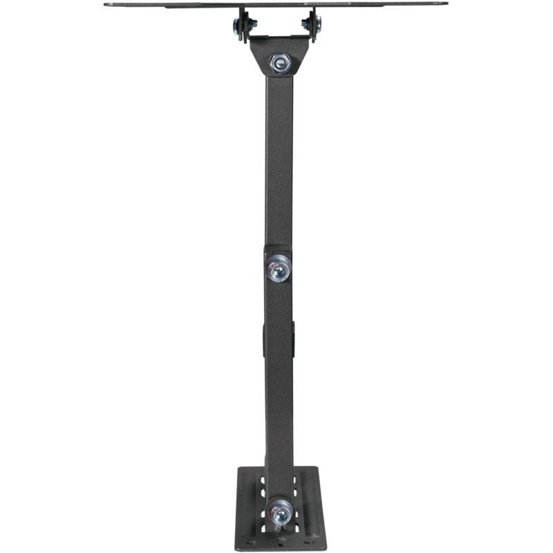 Kivi  Motion-223