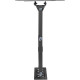 Kivi  Motion-223