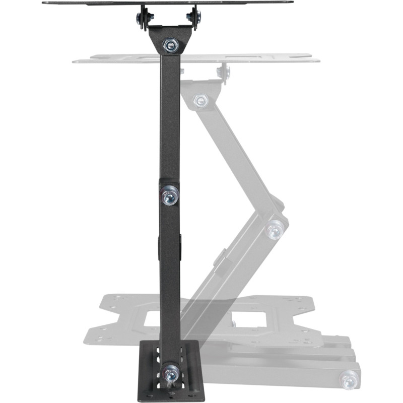 Kivi  Motion-223