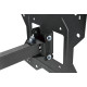 Kivi  Motion-223
